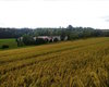 Aussiedlerhof Sachsenheim Große Anzahl aktueller Bauernhäuser, Bauernhöfe, Reiterhöfe, alte Mühlen - hier finden auch Sie IHR Bauernhaus, Bauernhof, Reiterhof oder alte Mühle!